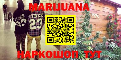 индика Лесосибирск
