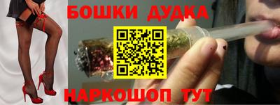индика Лесосибирск
