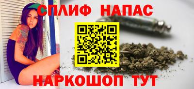 индика Лесосибирск