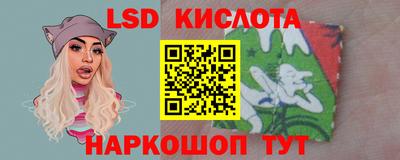 индика Лесосибирск