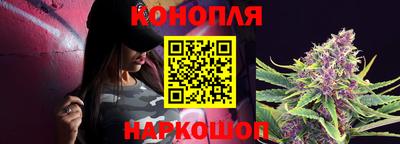 индика Лесосибирск
