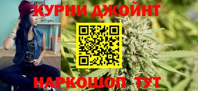 индика Лесосибирск