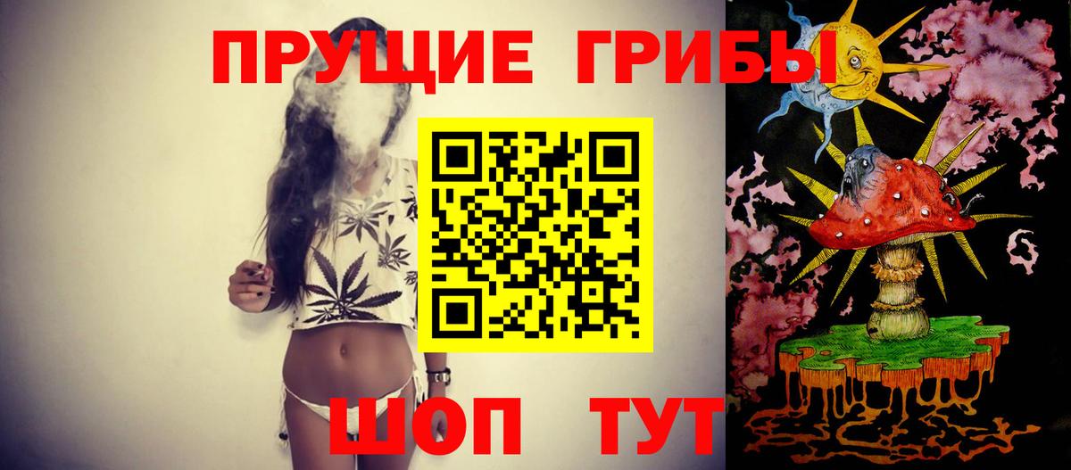 Галлюциногенные грибы Magic Shrooms Губкин
