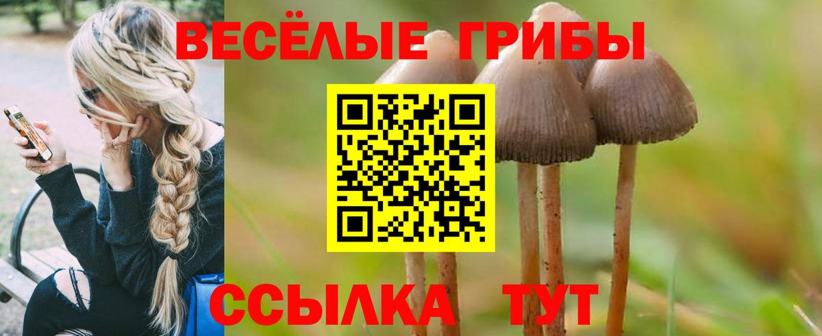 Галлюциногенные грибы прущие грибы  Вход с VPN  сколько стоит  Губкин 