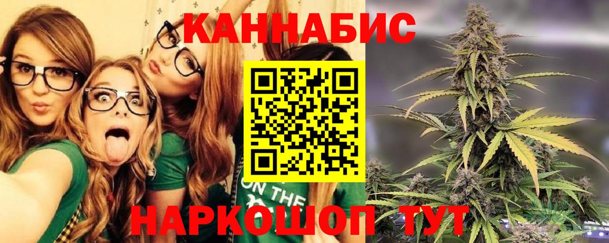 Бошки Шишки план Губкин